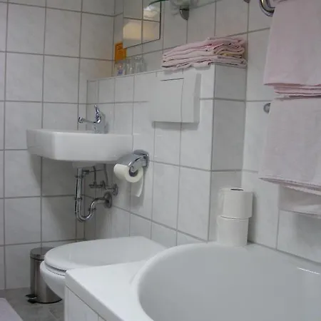 Der Boehmerwald Hotel Eschlkam