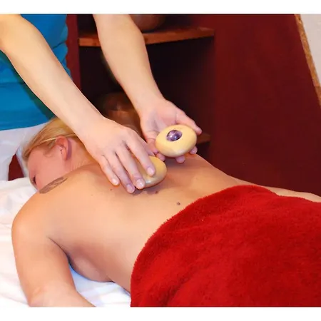 Der Boehmerwald מלון 3*